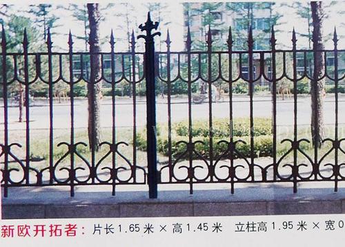 新欧开拓者